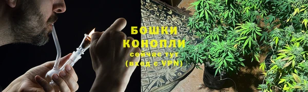 PSILOCYBIN Белоозёрский